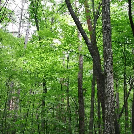 Bertrix Charming 2-bedroom Sart