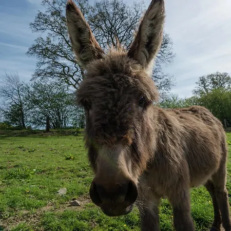 Nyaraló Bertrix Charming 2-bedroom *