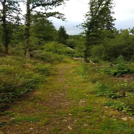 Bertrix Charming 2-bedroom *