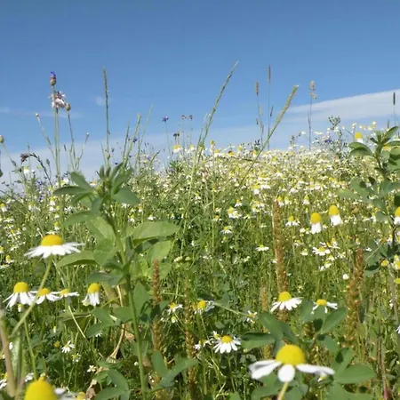 Nyaraló Bertrix Charming 2-bedroom