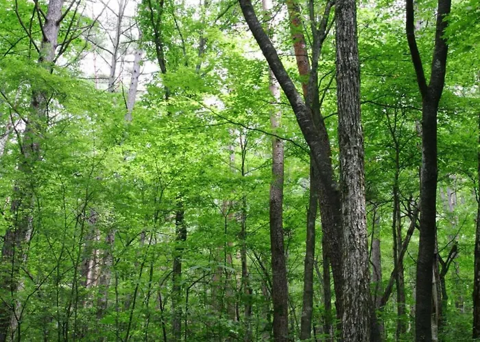 Bertrix Charming 2-bedroom Sart (Luxembourg)
