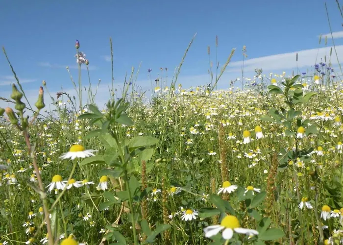 Casa vacanze Bertrix Charming 2-bedroom